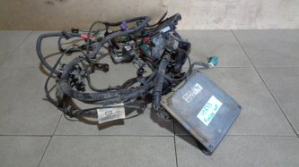 Проводка моторная Ford Fusion CBK