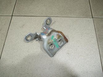 Петля двери Renault Sandero 1 BS