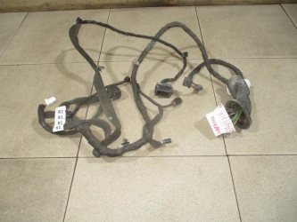 Проводка двери Chevrolet Captiva C100
