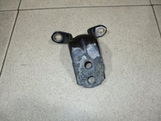 Петля двери Nissan Tiida C11
