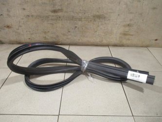 Уплотнитель двери Ford Focus 3