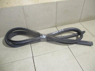 Уплотнитель двери Ford Focus 3