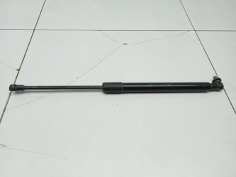Амортизатор двери багажника Renault Duster 1